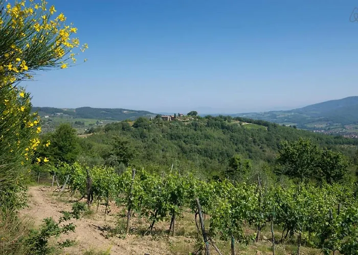 酒店 Castello Di Montegonzi *